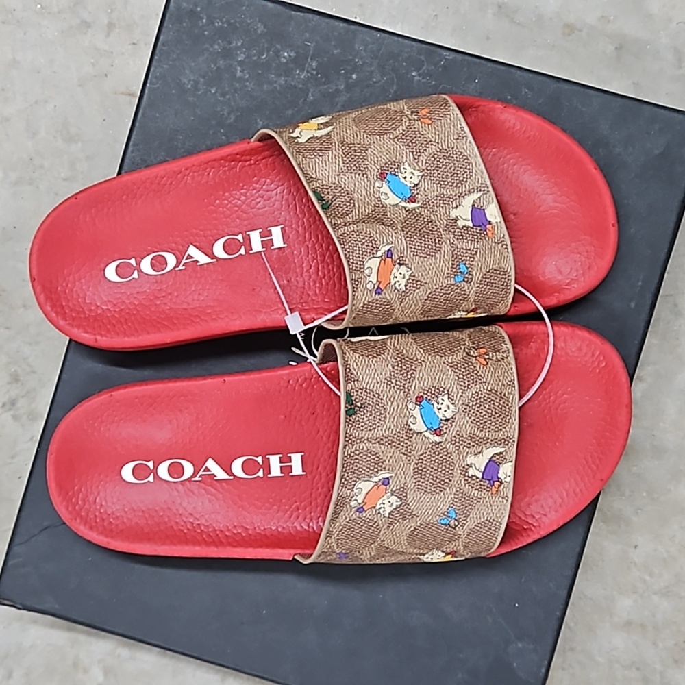 Coach size 6 NWOB
